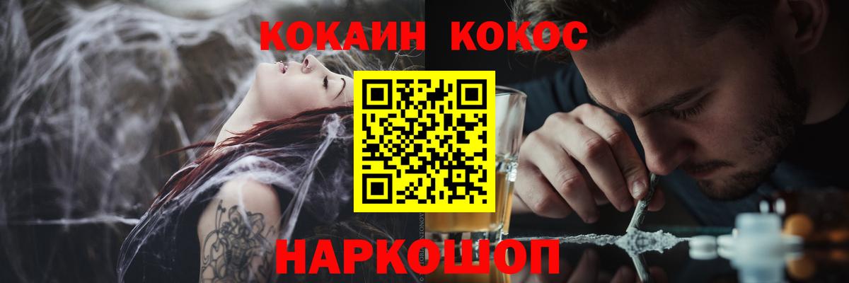 МЕФ Камышин