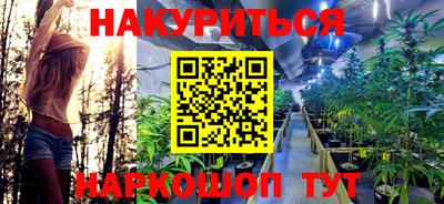 крисы Кимры