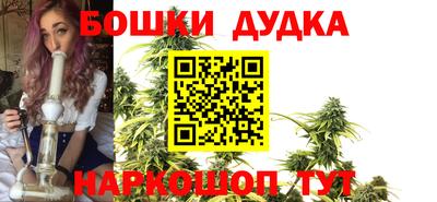 МДПВ Кингисепп