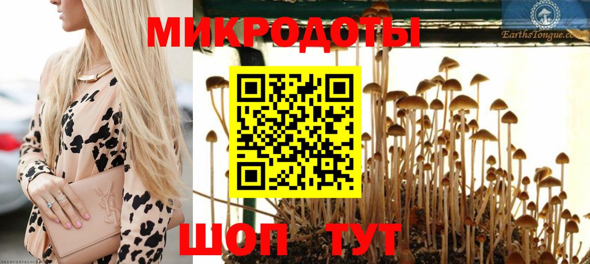 Галлюциногенные грибы мухоморы Камышин